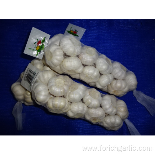 Good Quality Pure White Garlic Crop 2019